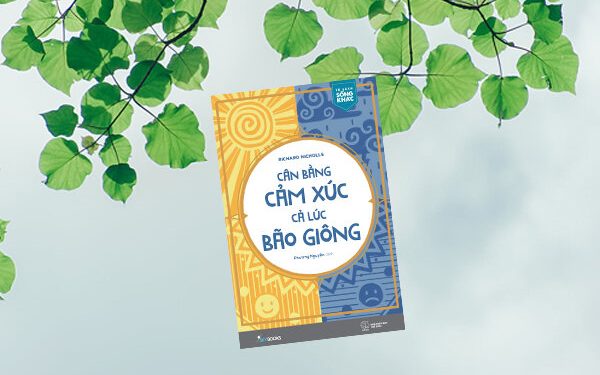 can-bang-cam-xuc-ca-luc-bao-giong-review