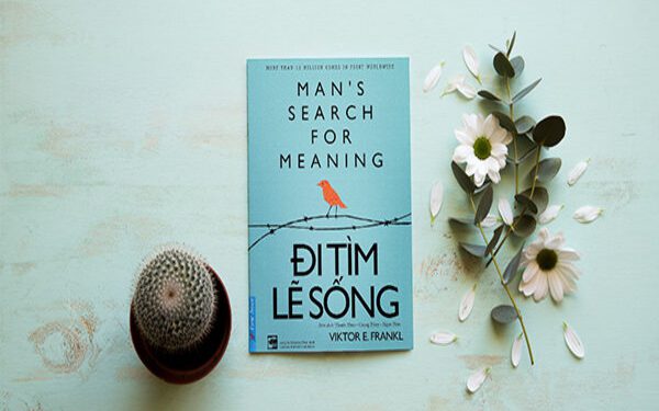 di-tim-le-song-review