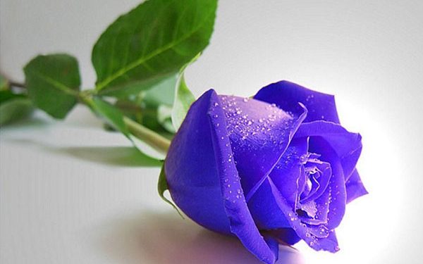 Các Truyện Ngôn Tình Ngắn Full